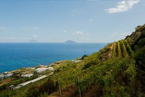 Cantine Colosi, Sicilien, Italien