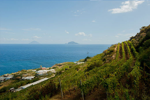 Cantine Colosi, Sicilien, Italien