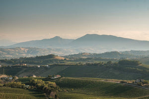 Il Conte Villa Prandone, Marche