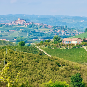 Cascina Cappellano, Piemonte