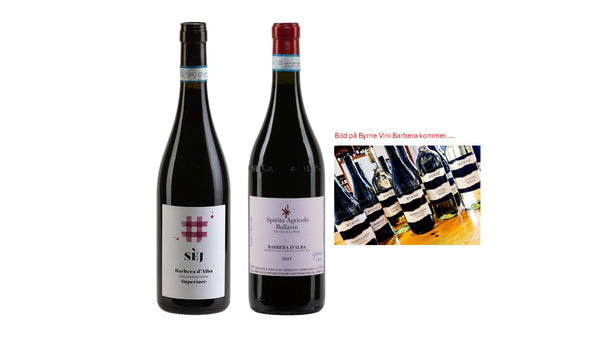 Barbera blandlåda, 3 viner, 2 flaskor av varje, totalt 6 flaskor