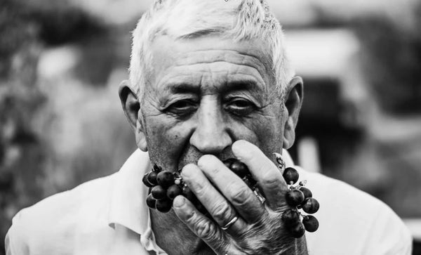 Cantina Mezzanotte Marche, Italien, ekologiska viner