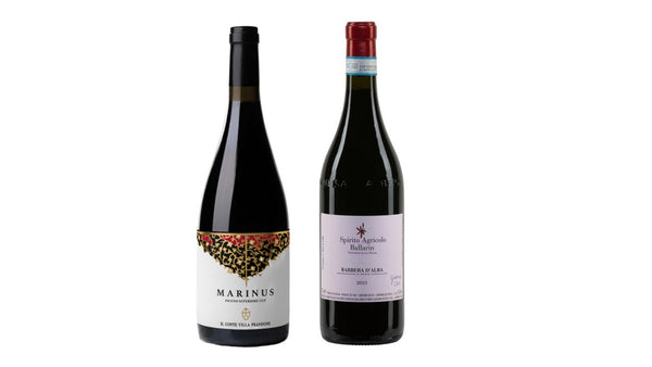 Martins låda- 3 Marinus + 3 Barbera Ballarin, röda viner, 6 flaskor