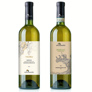 Risveglio Verdicchio dei Castelli di Jesi DOC, Vigoria Incrocio Bruni 54, Mezzanotte, Marche, Italien, ekologiska viner